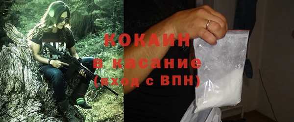прущие грибы Валуйки