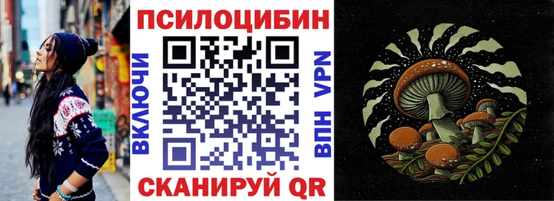 Псилоцибиновые грибы Psilocybe  где можно купить наркотик  Губаха 